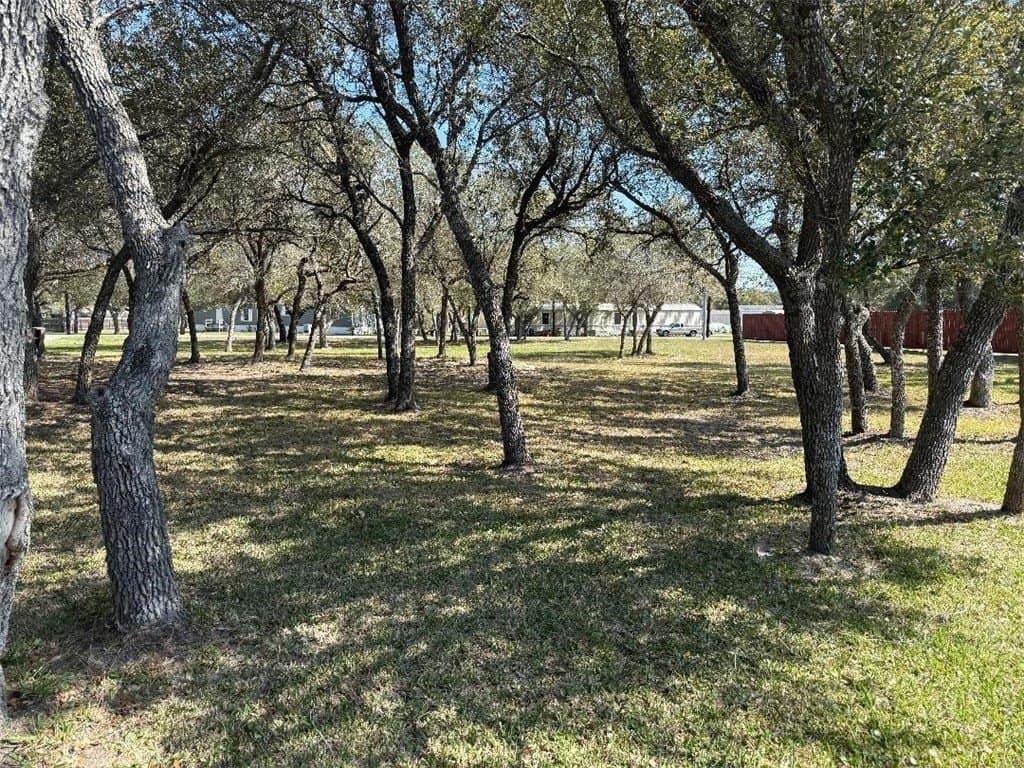 0.53 acres in San Patricio County - photo 8