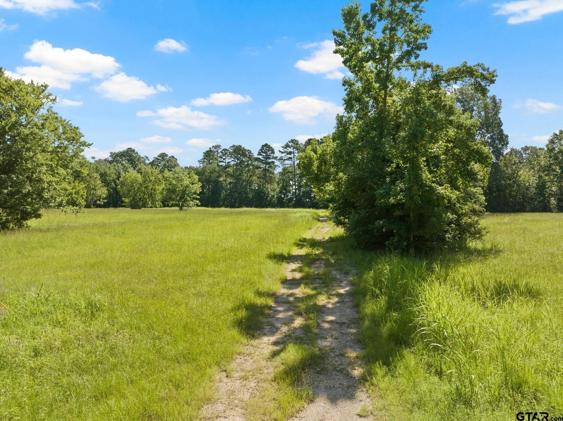 68.3 acres in Titus County featured view