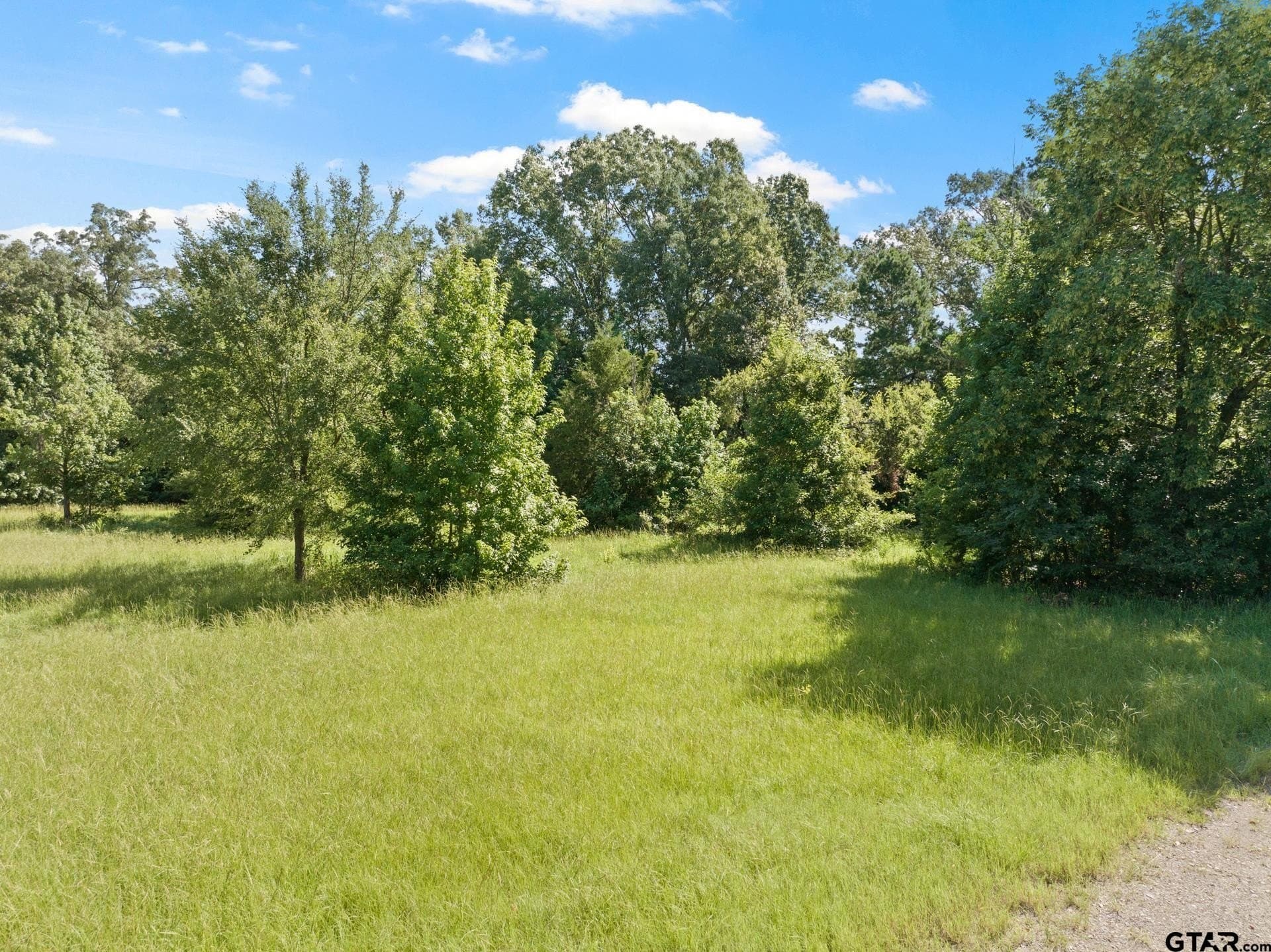 68.3 acres in Titus County gallery image 2