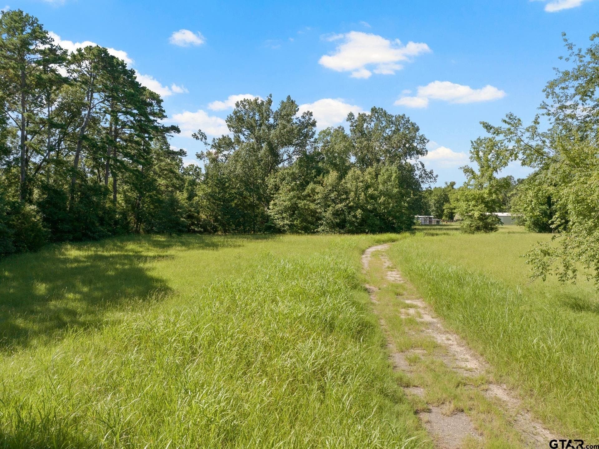 68.3 acres in Titus County gallery image 3