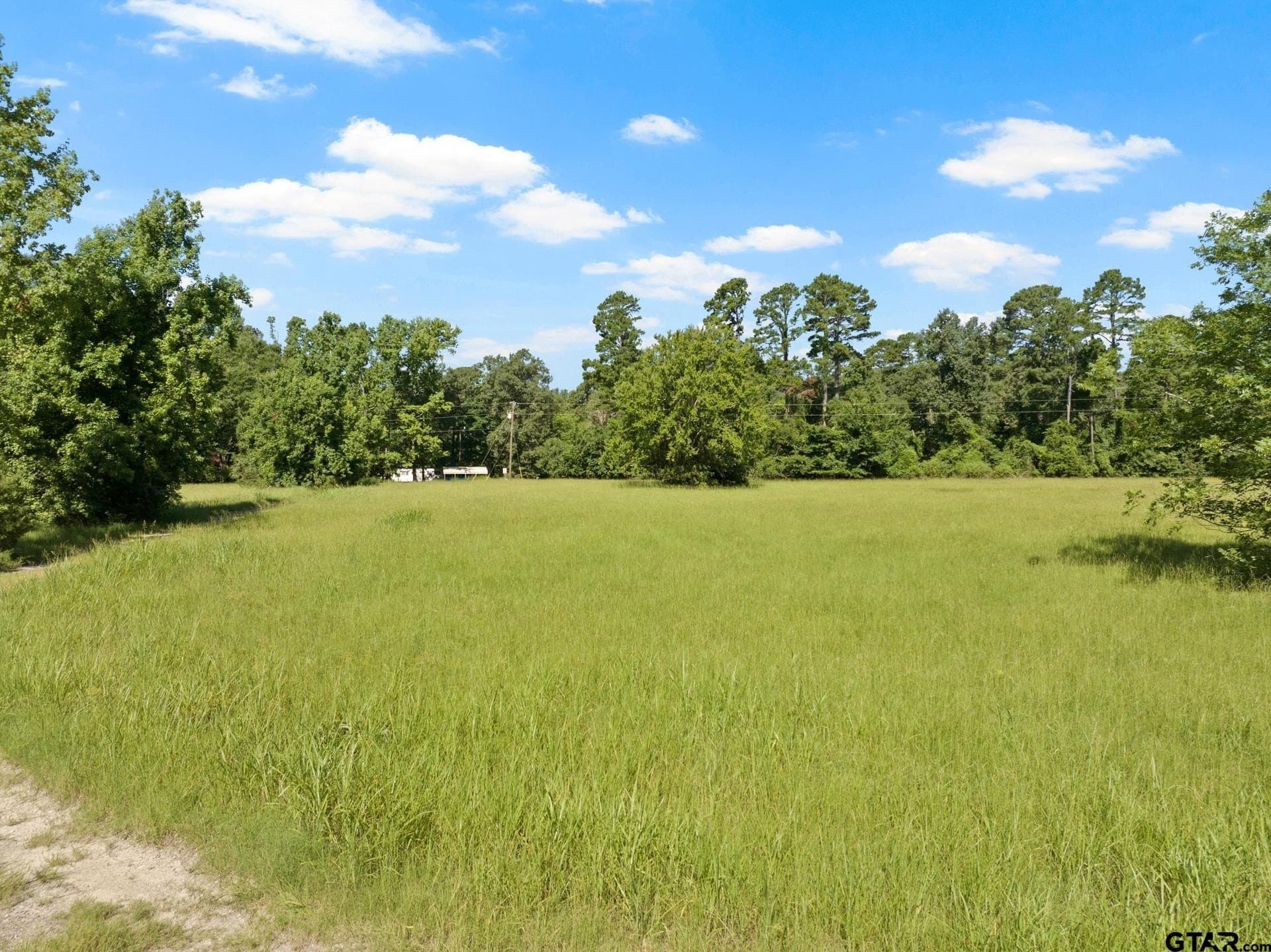 68.3 acres in Titus County gallery image 4