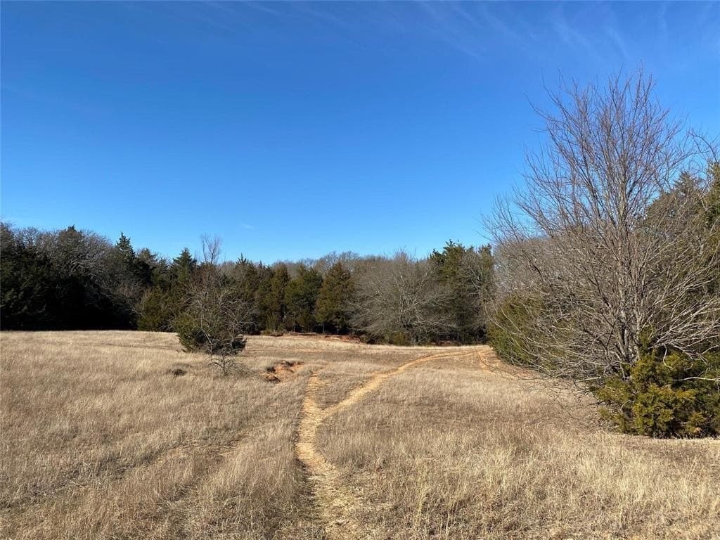 52.03 acres in Fannin County gallery image 4