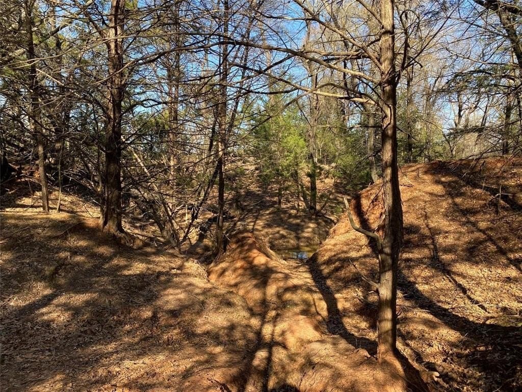 52.03 acres in Fannin County gallery image 2