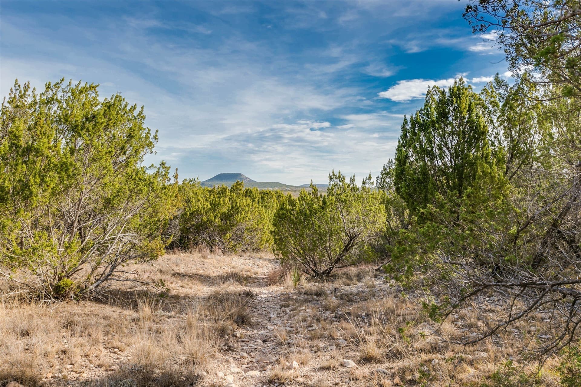 140 acres in Coke County - photo 39