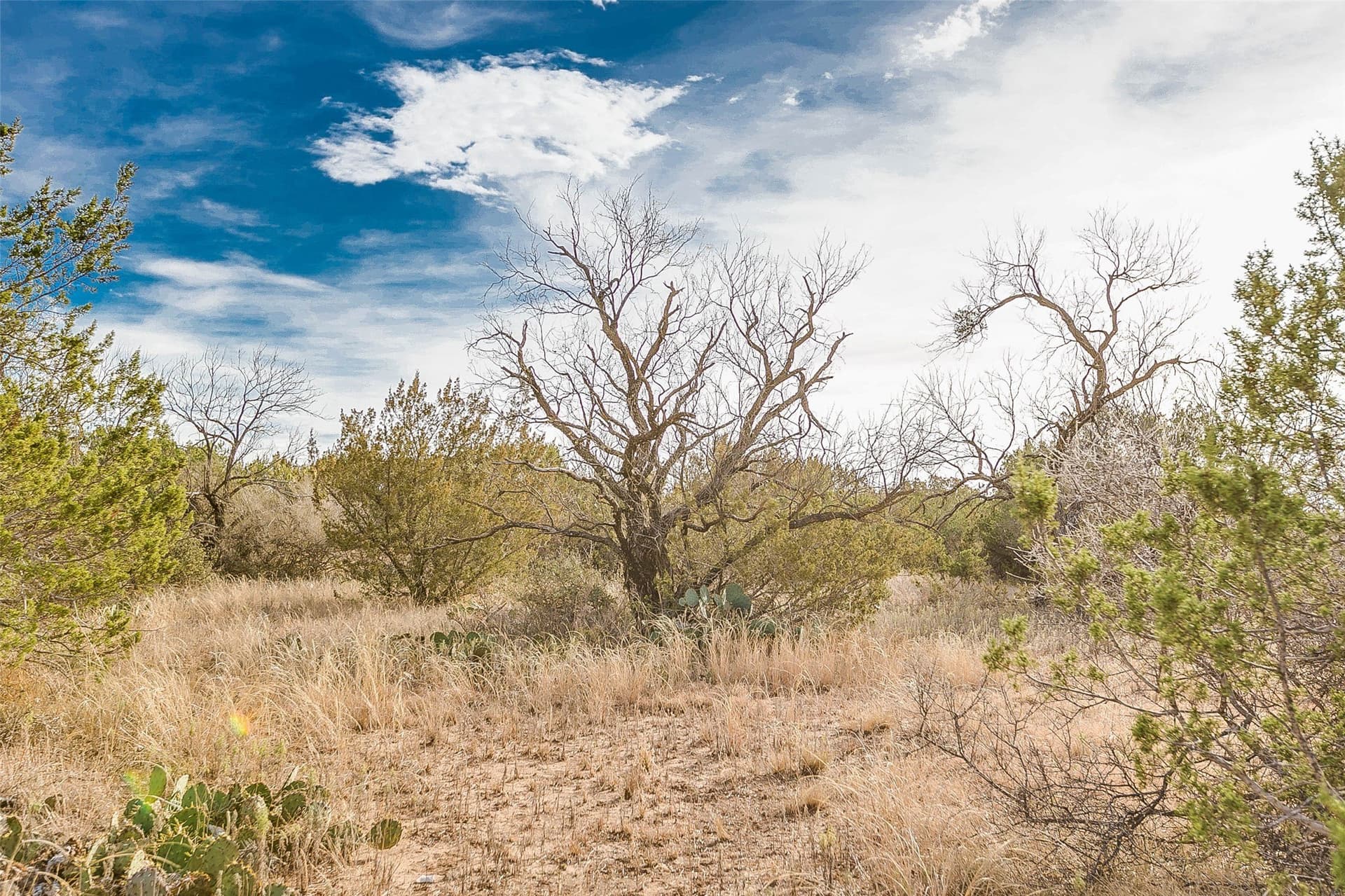 140 acres in Coke County - photo 37
