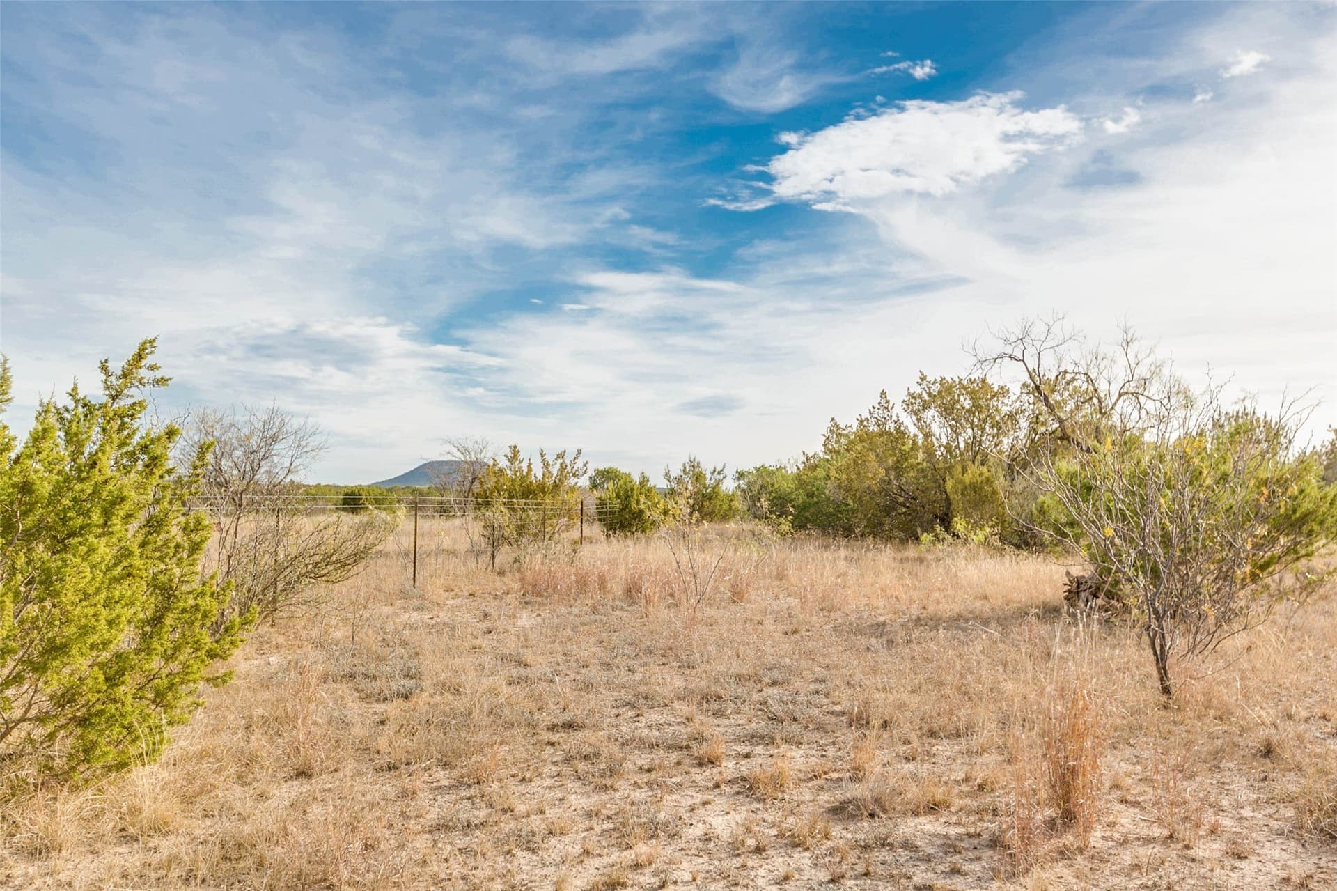140 acres in Coke County - photo 38