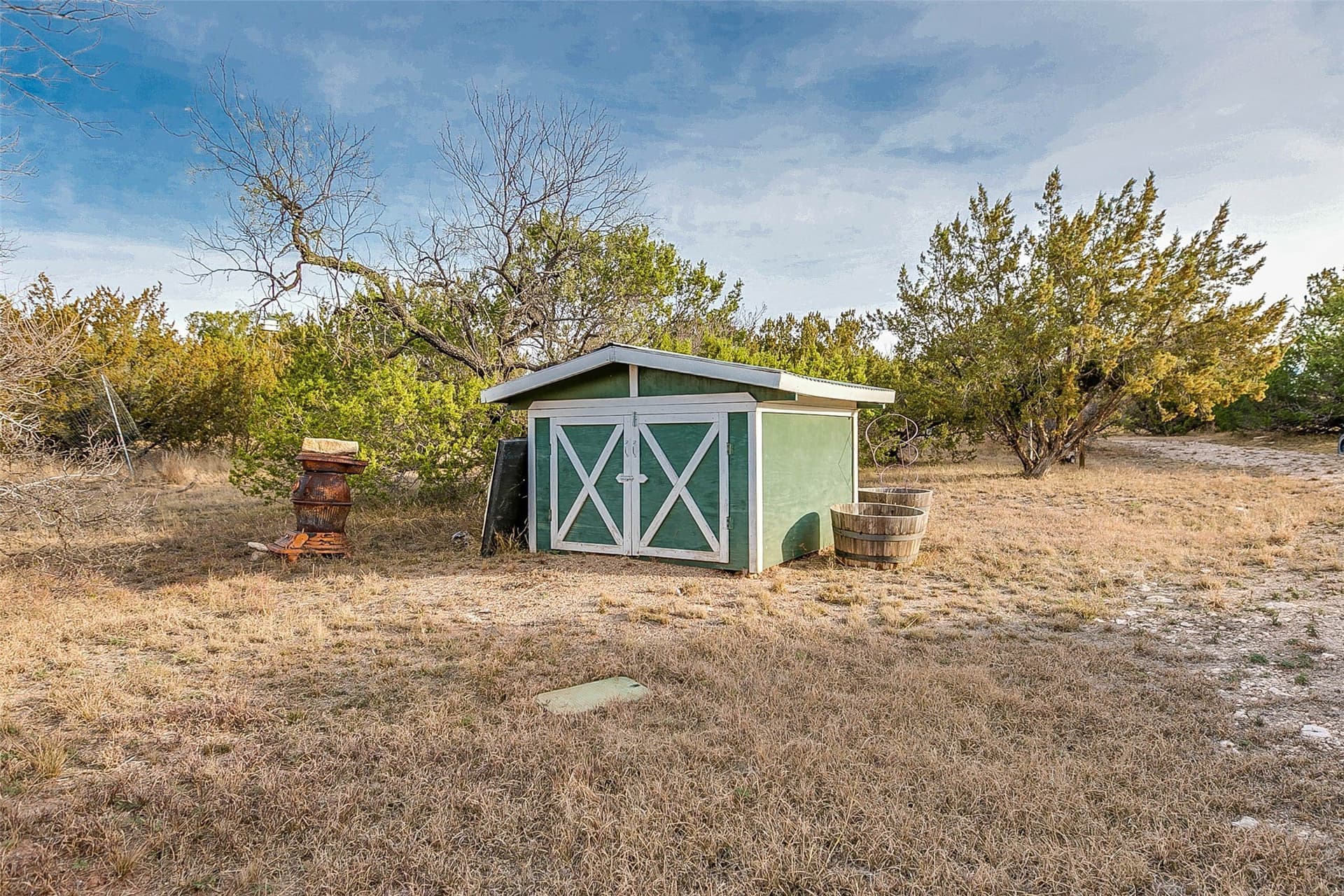 140 acres in Coke County - photo 5
