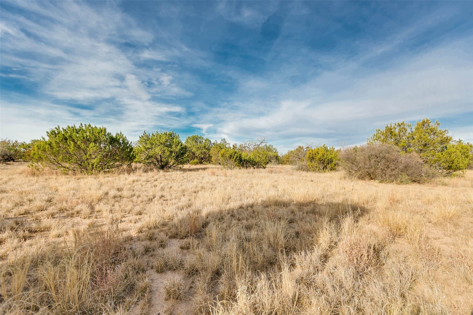 140 acres in Coke County - photo 31