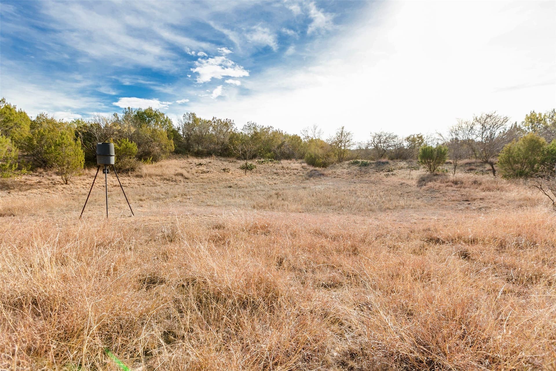 140 acres in Coke County - photo 40