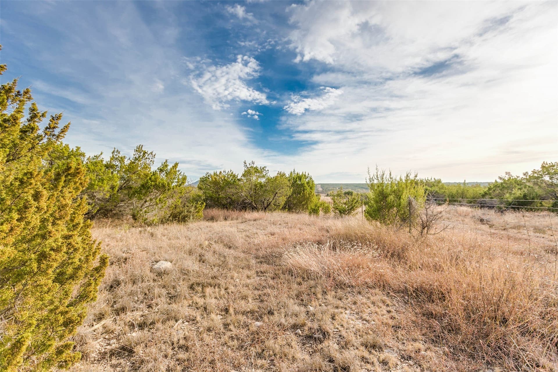 140 acres in Coke County - photo 27