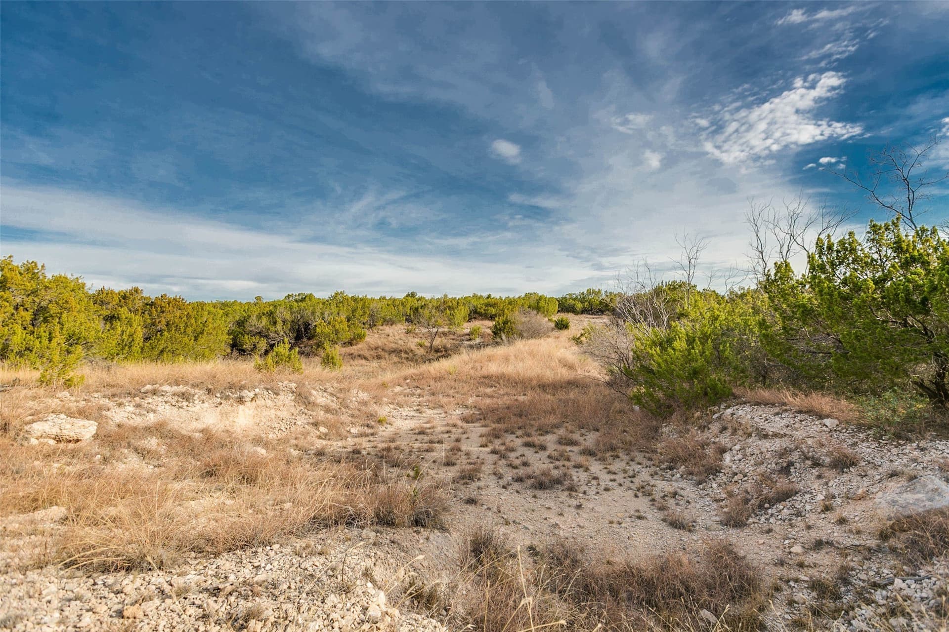 140 acres in Coke County - photo 28