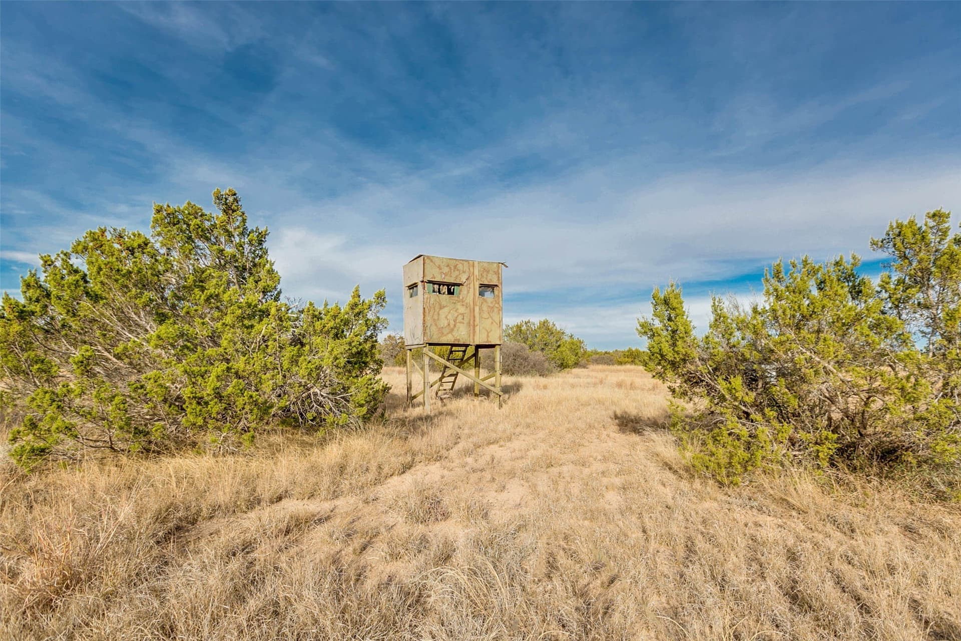 140 acres in Coke County - photo 30