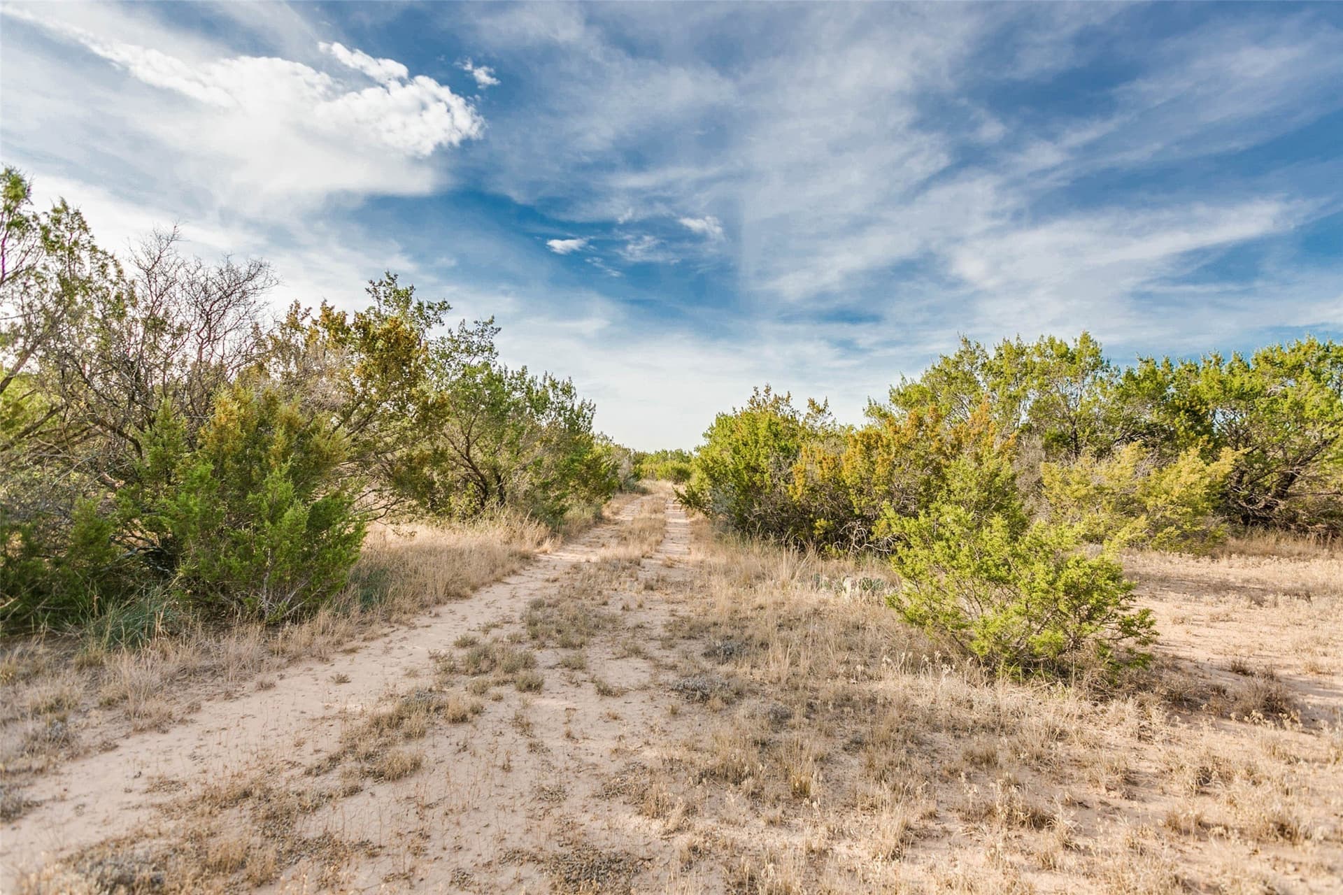 140 acres in Coke County - photo 34