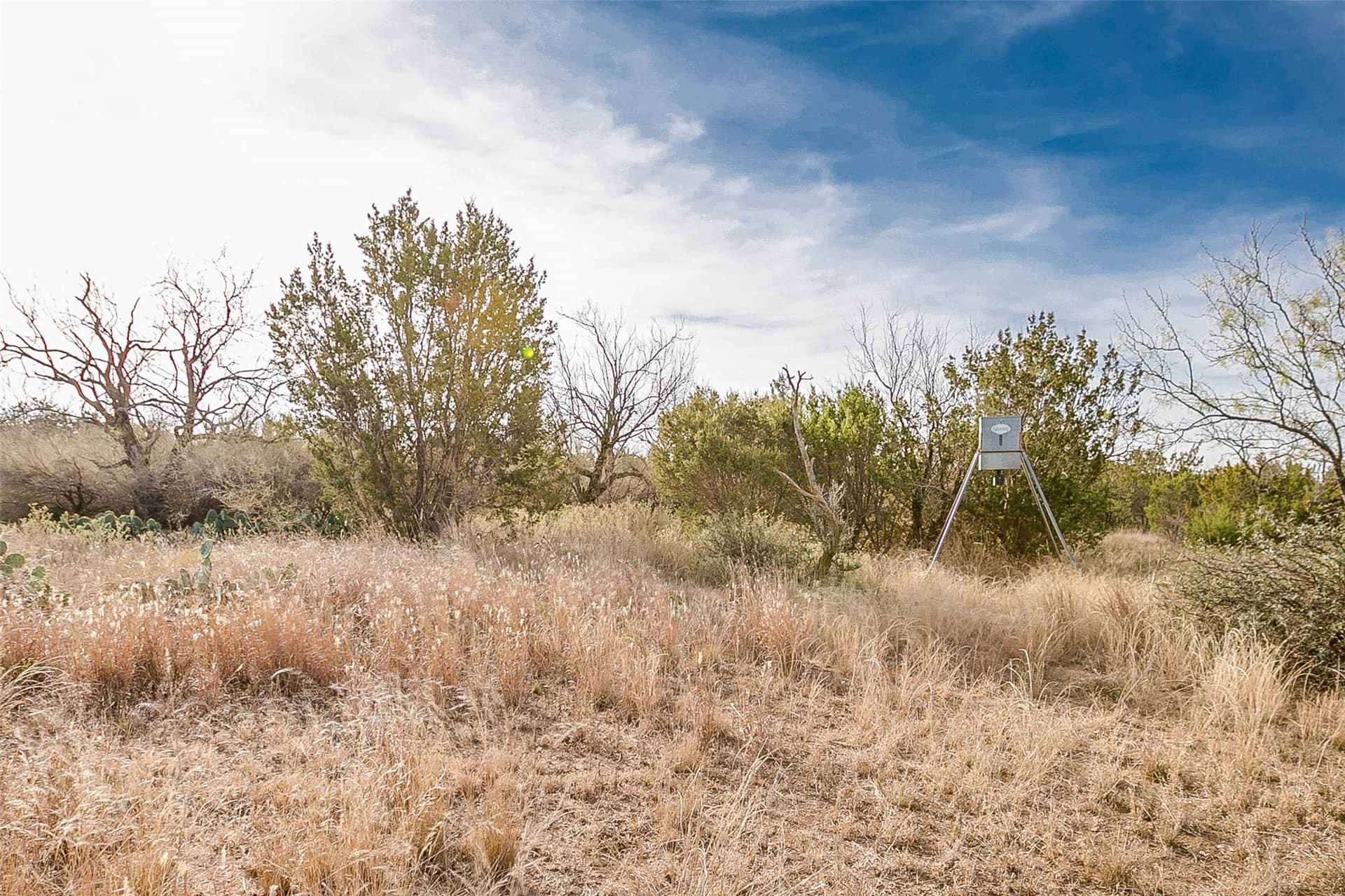 140 acres in Coke County - photo 36