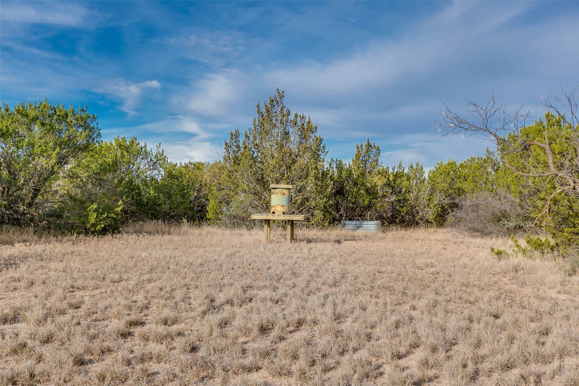 140 acres in Coke County - photo 33