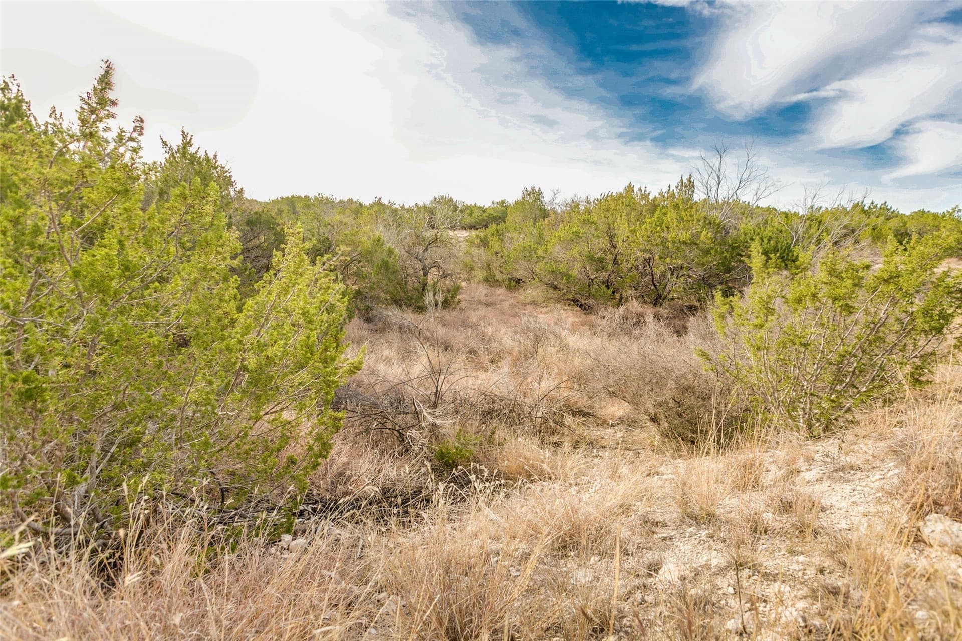 140 acres in Coke County - photo 29