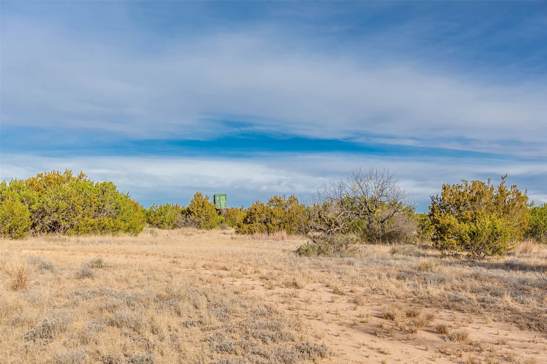 140 acres in Coke County - photo 32