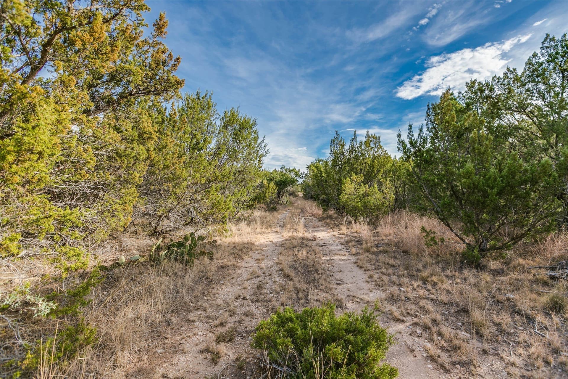 140 acres in Coke County - photo 35