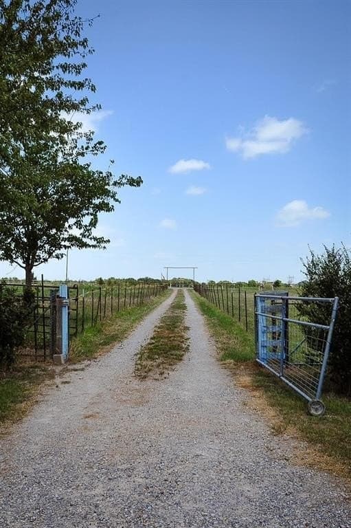 10.27 acres in Fannin County gallery image 2