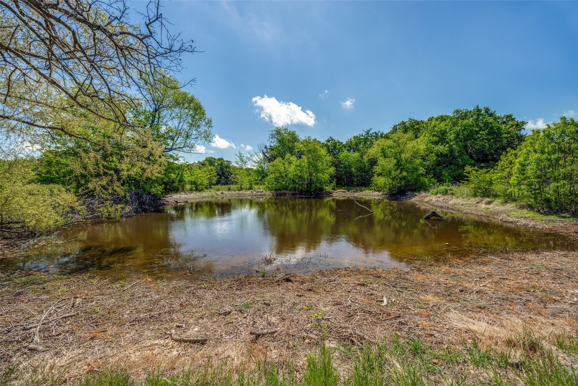 106.96 acres in Hopkins County - photo 12