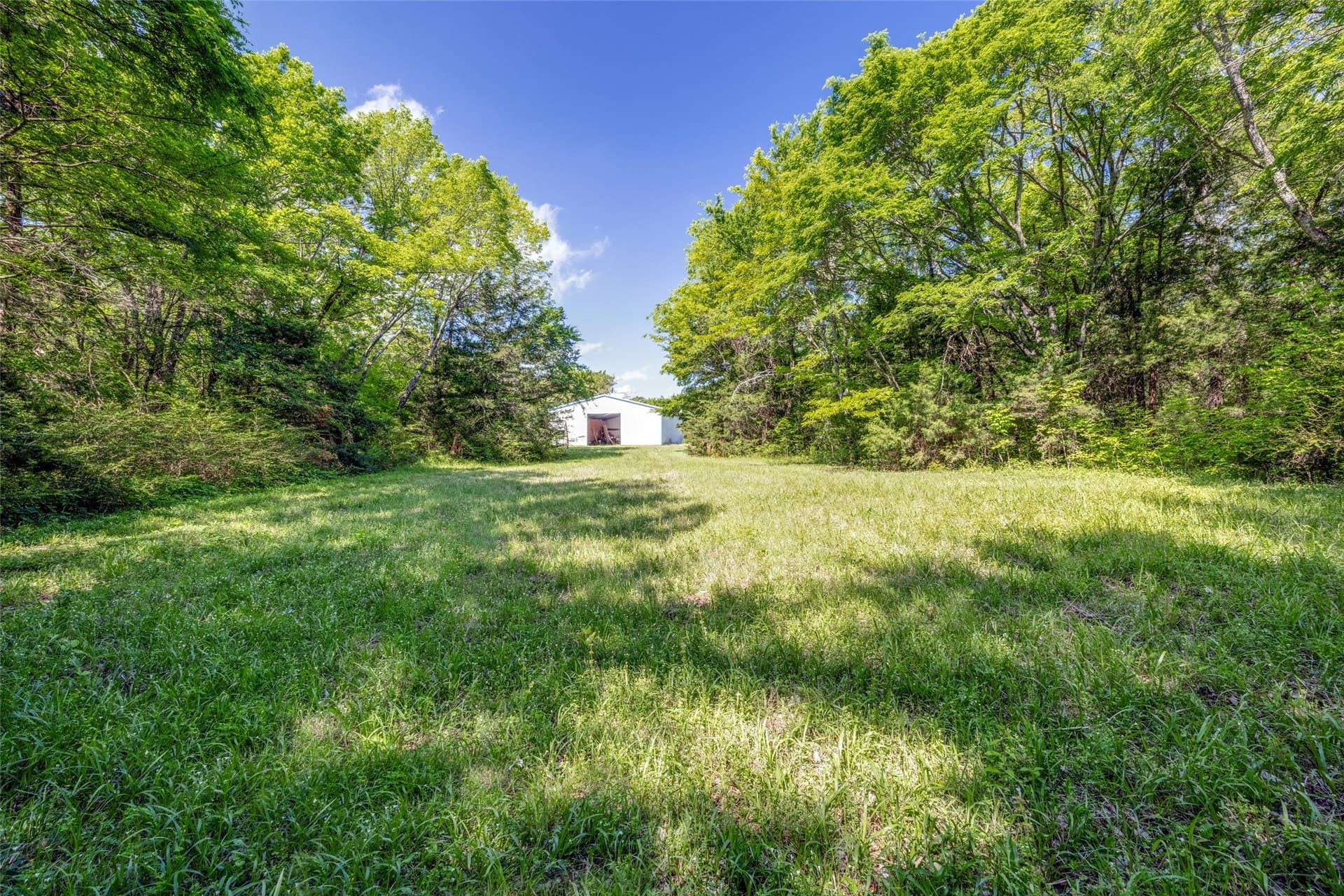 106.96 acres in Hopkins County - photo 13