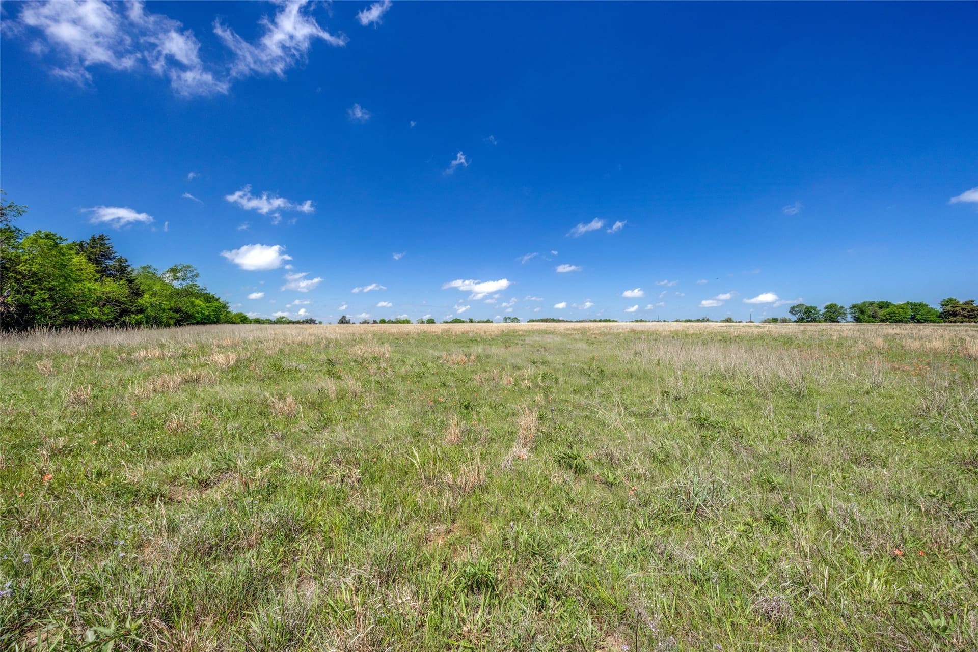 106.96 acres in Hopkins County - photo 40