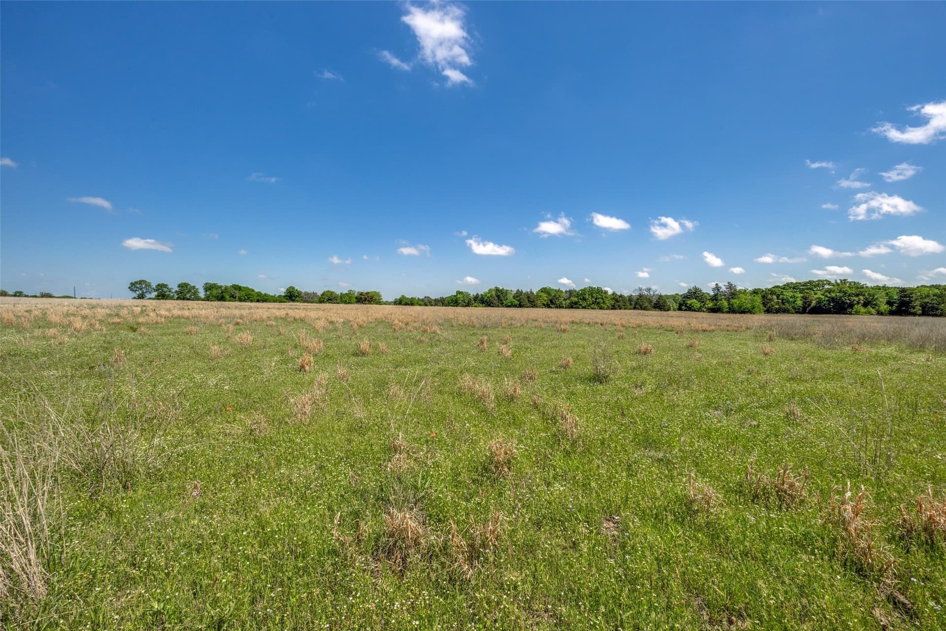 106.96 acres in Hopkins County - photo 19