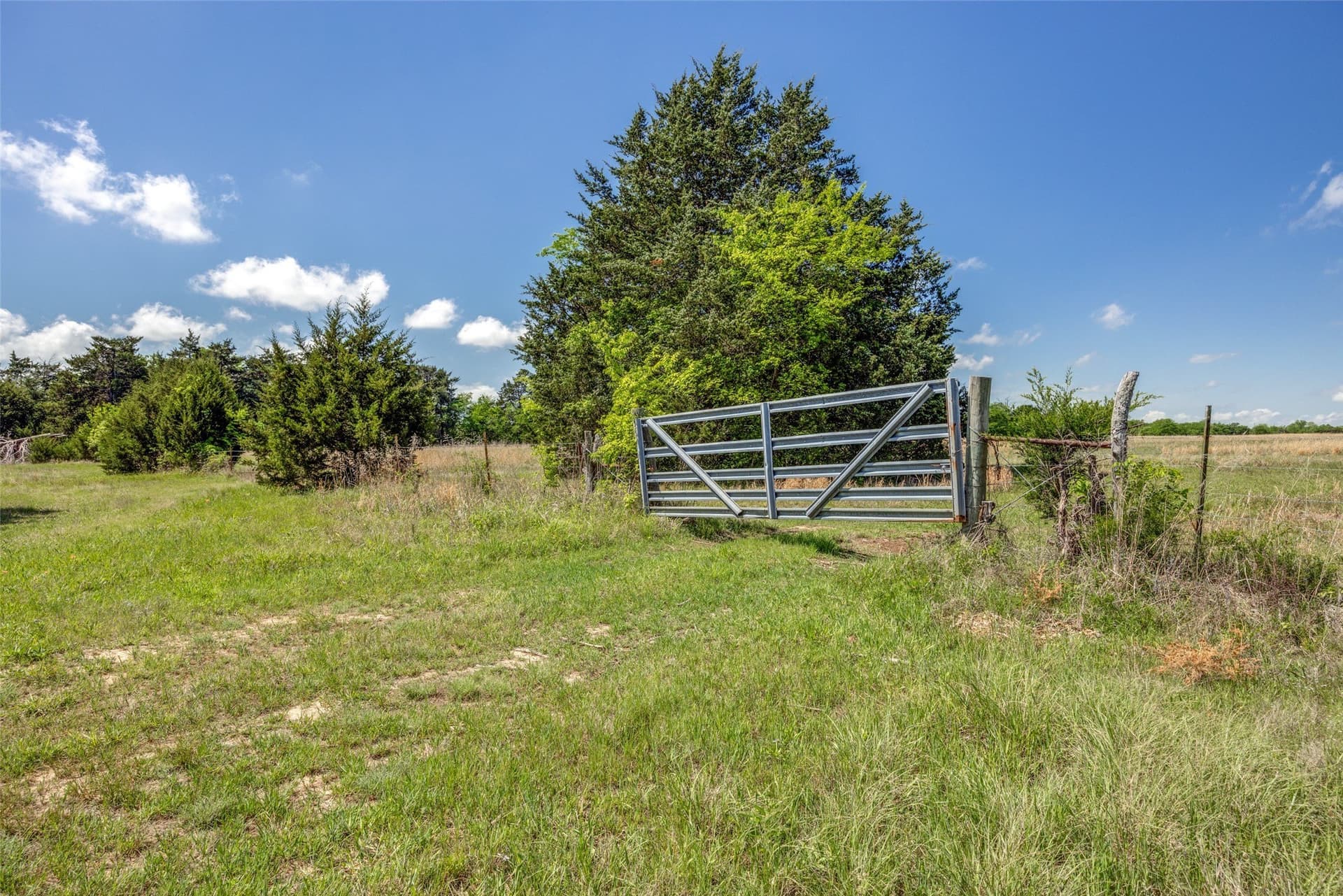 106.96 acres in Hopkins County - photo 8