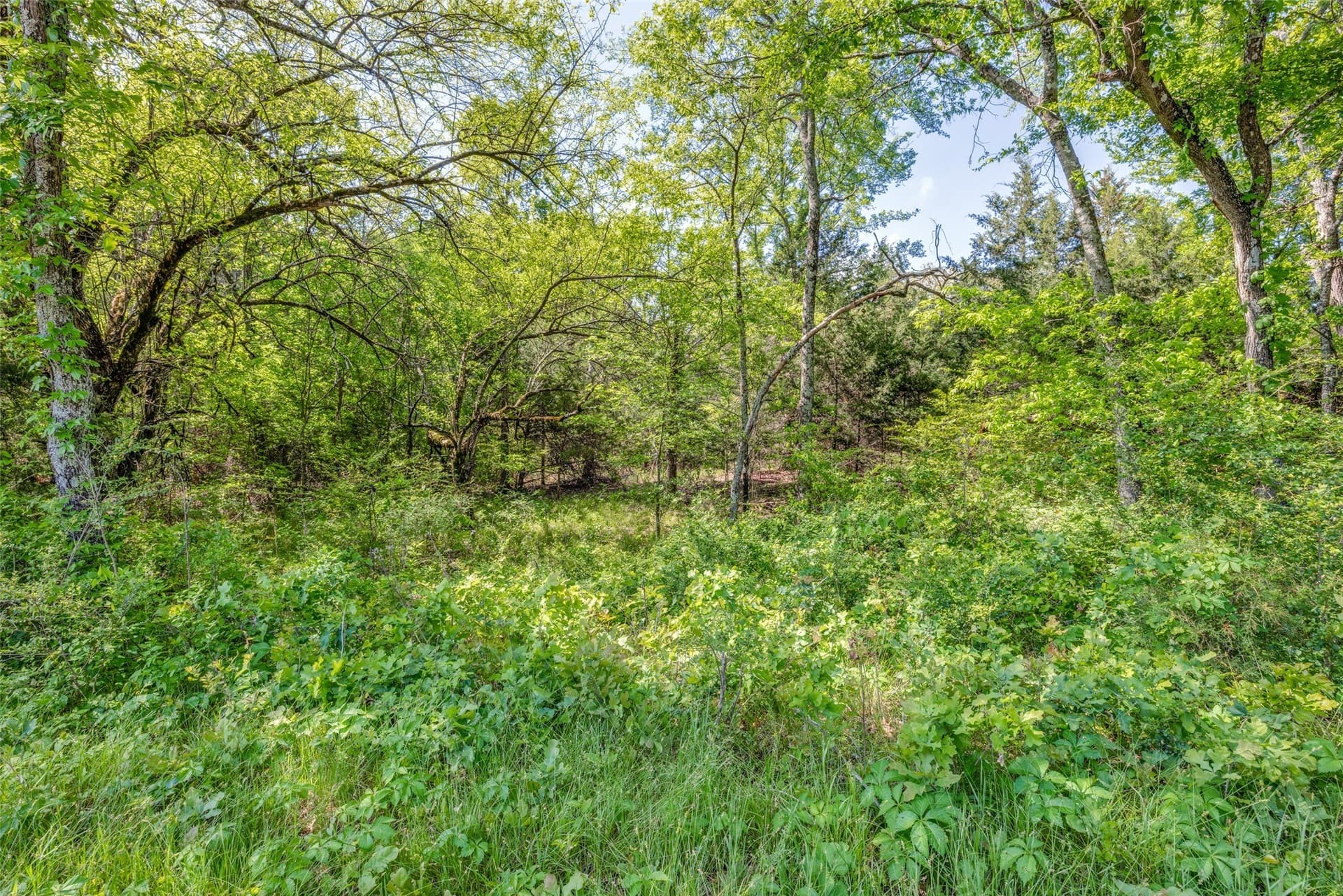 106.96 acres in Hopkins County - photo 17