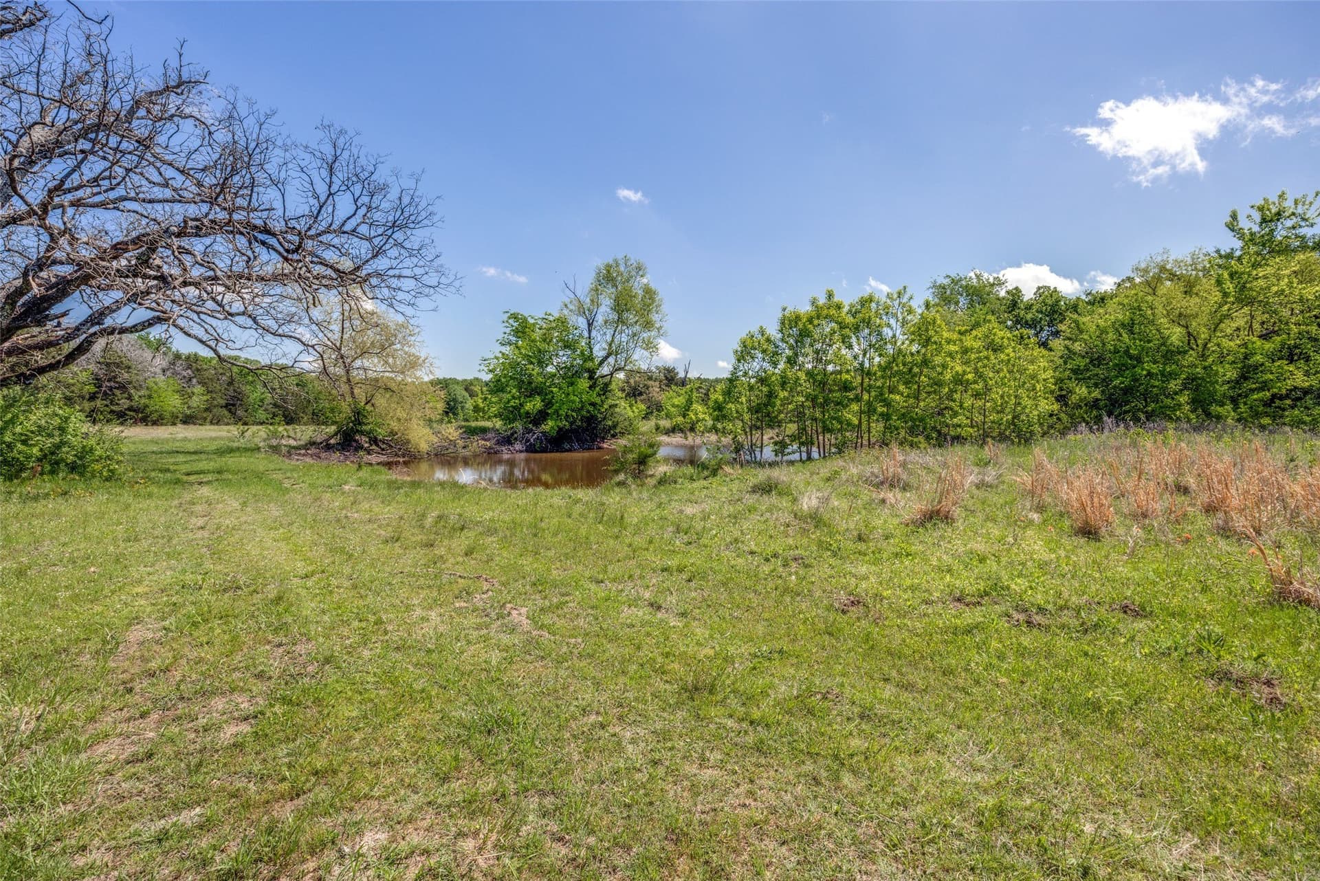 106.96 acres in Hopkins County - photo 11