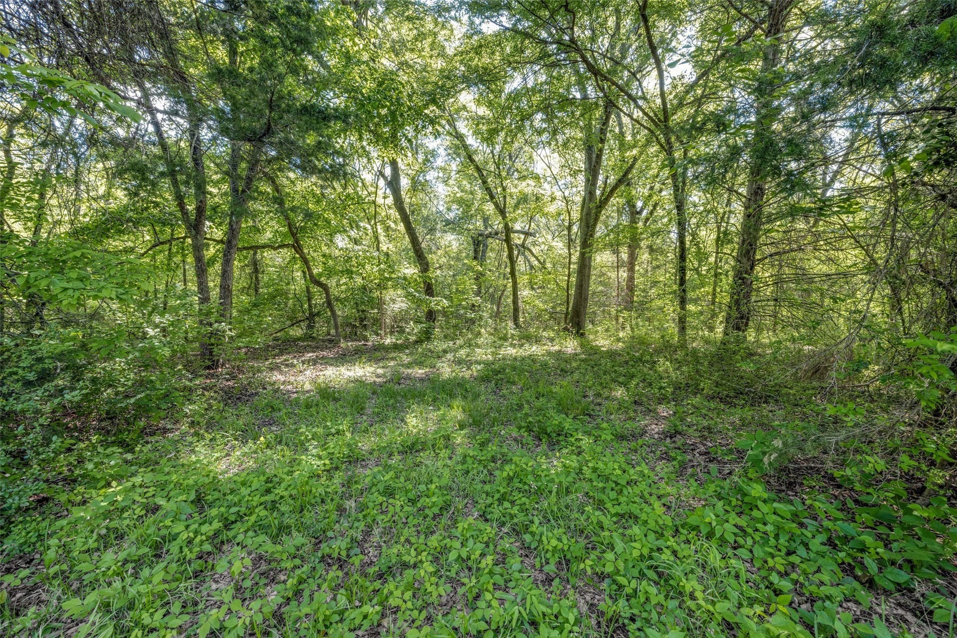 106.96 acres in Hopkins County - photo 16