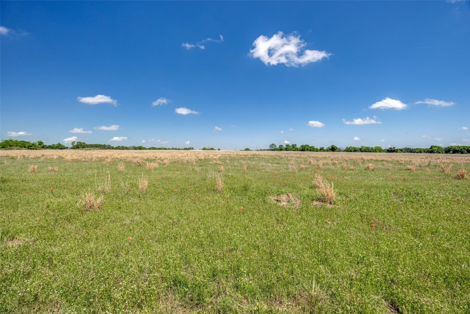106.96 acres in Hopkins County - photo 20
