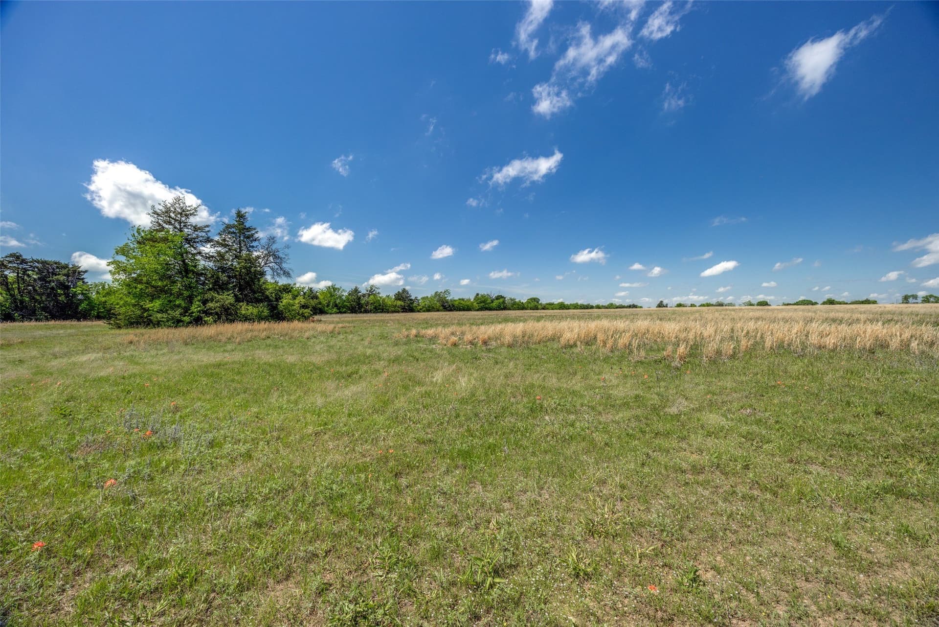 106.96 acres in Hopkins County - photo 15