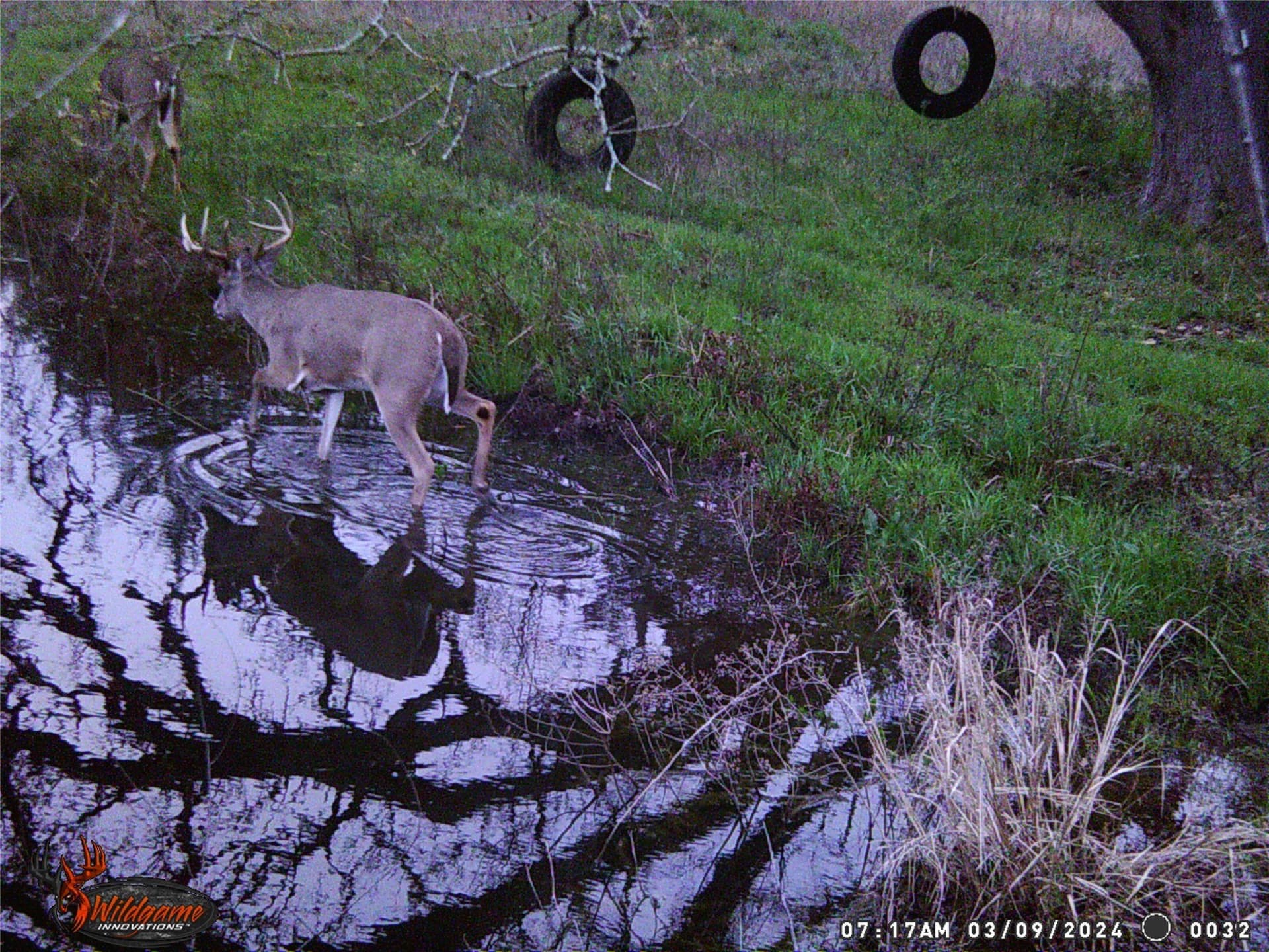 106.96 acres in Hopkins County - photo 34