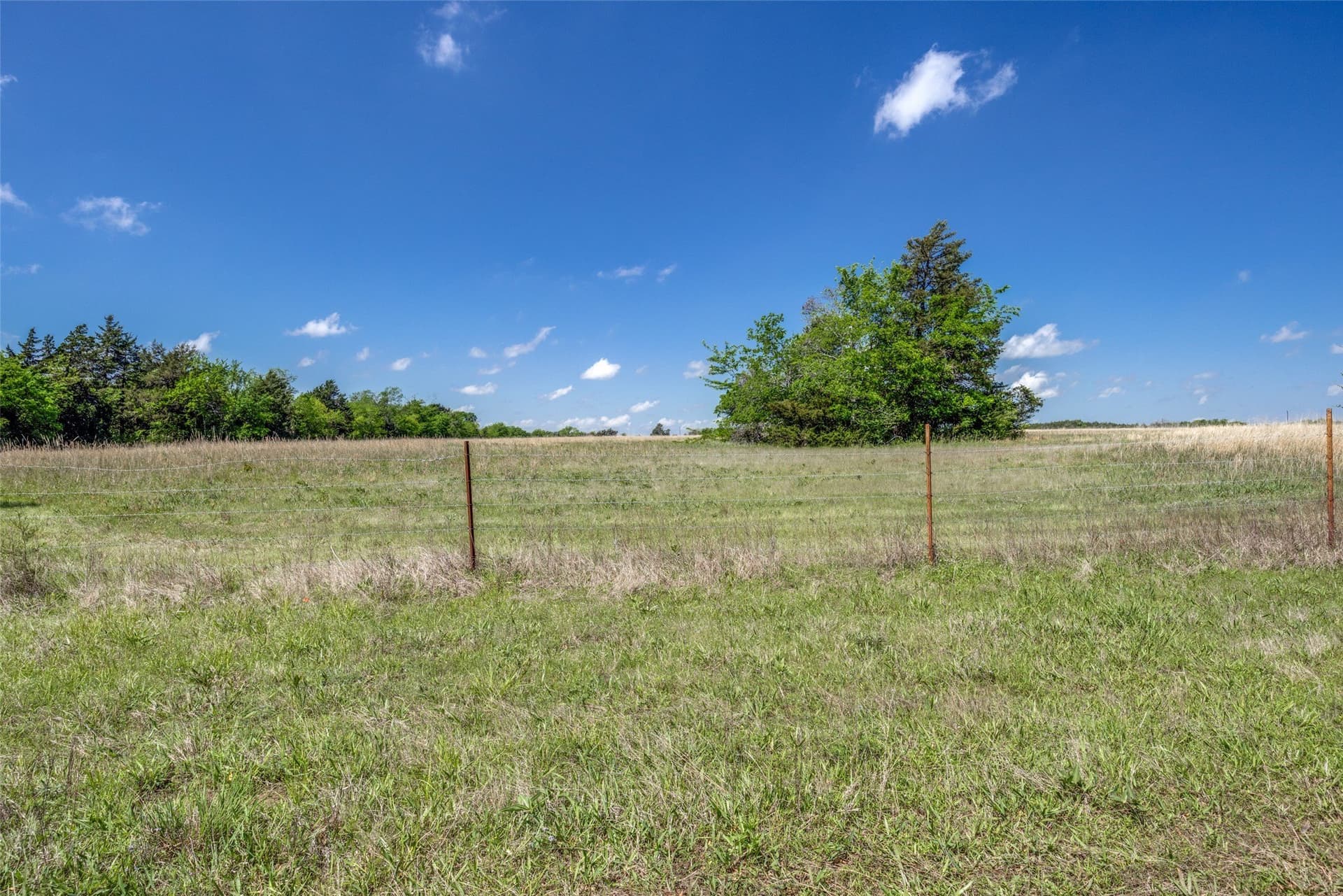 106.96 acres in Hopkins County - photo 10