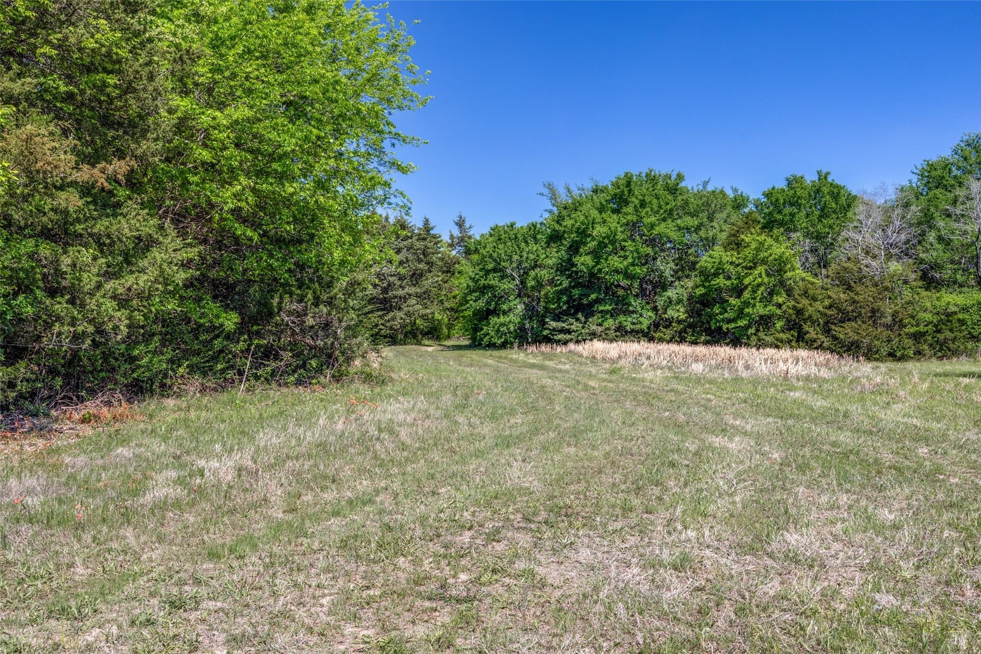 106.96 acres in Hopkins County - photo 18