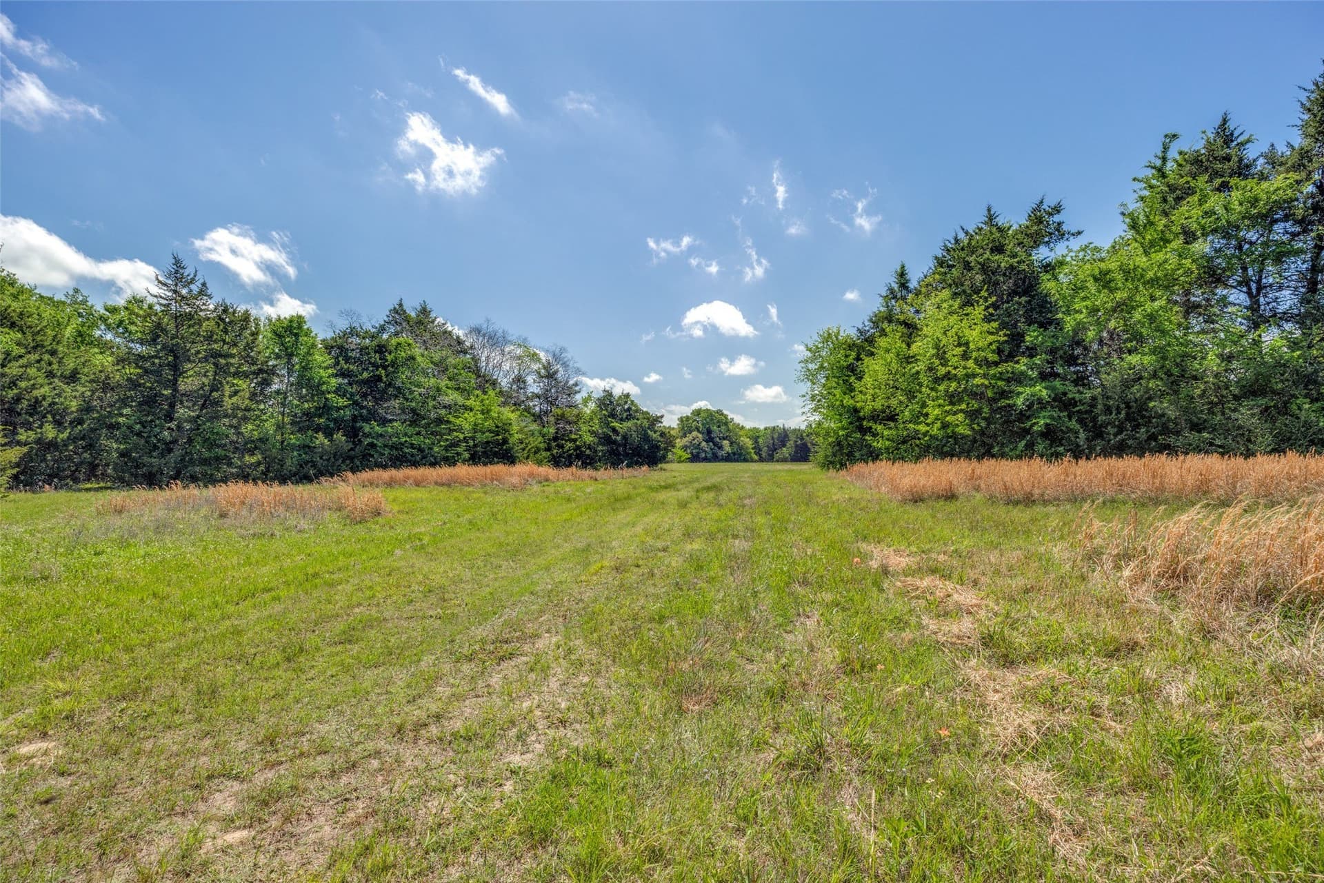 106.96 acres in Hopkins County - photo 6