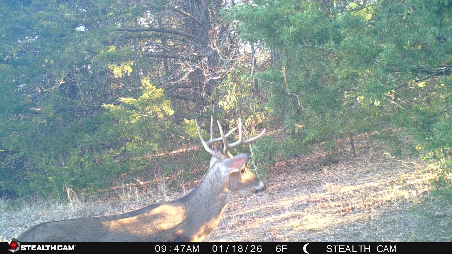 106.96 acres in Hopkins County - photo 33