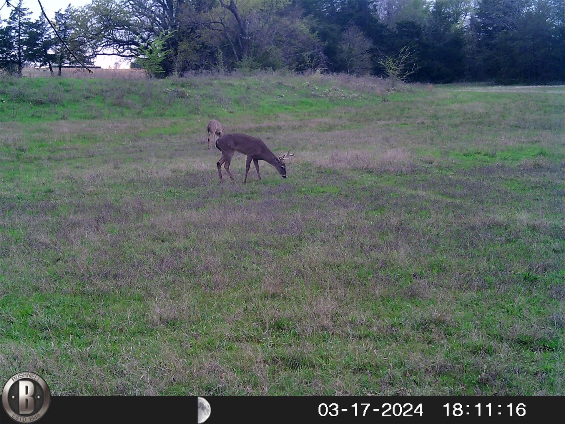 106.96 acres in Hopkins County - photo 29