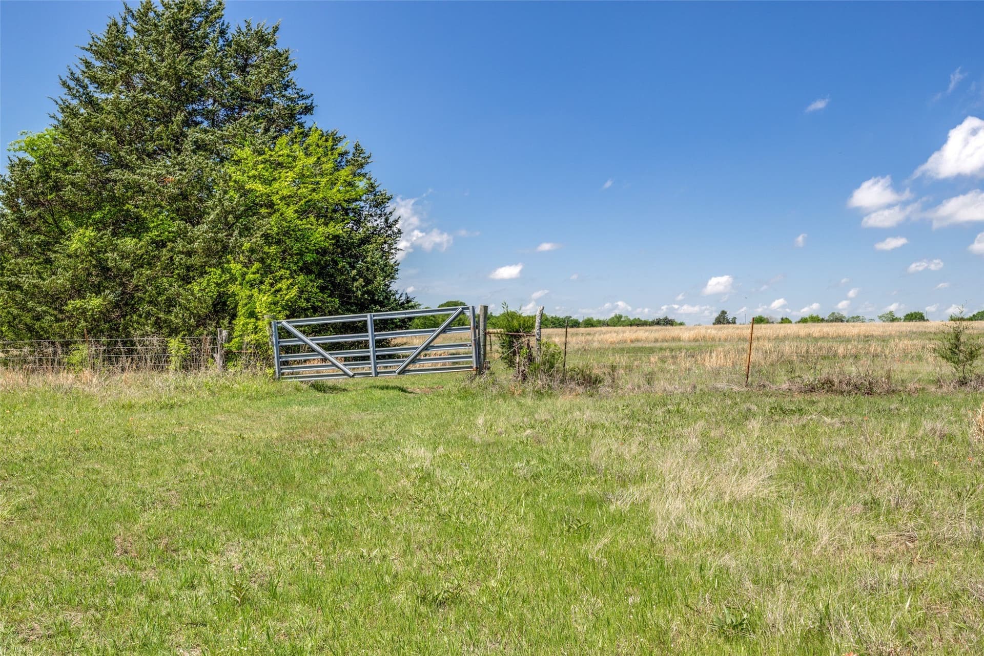 106.96 acres in Hopkins County - photo 9