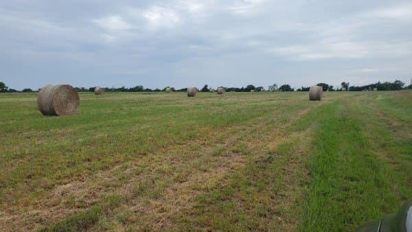106.96 acres in Hopkins County - photo 28