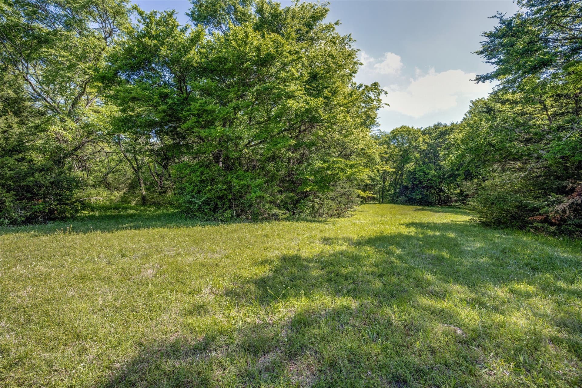 106.96 acres in Hopkins County - photo 7