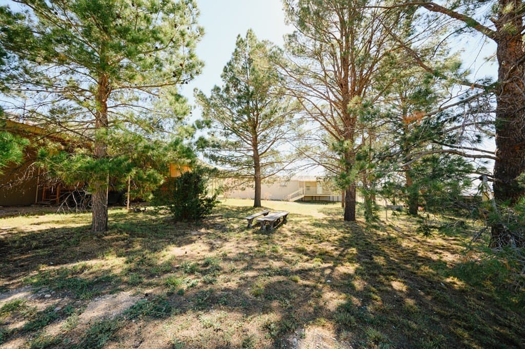2,699.31 acres in Terrell County - photo 30