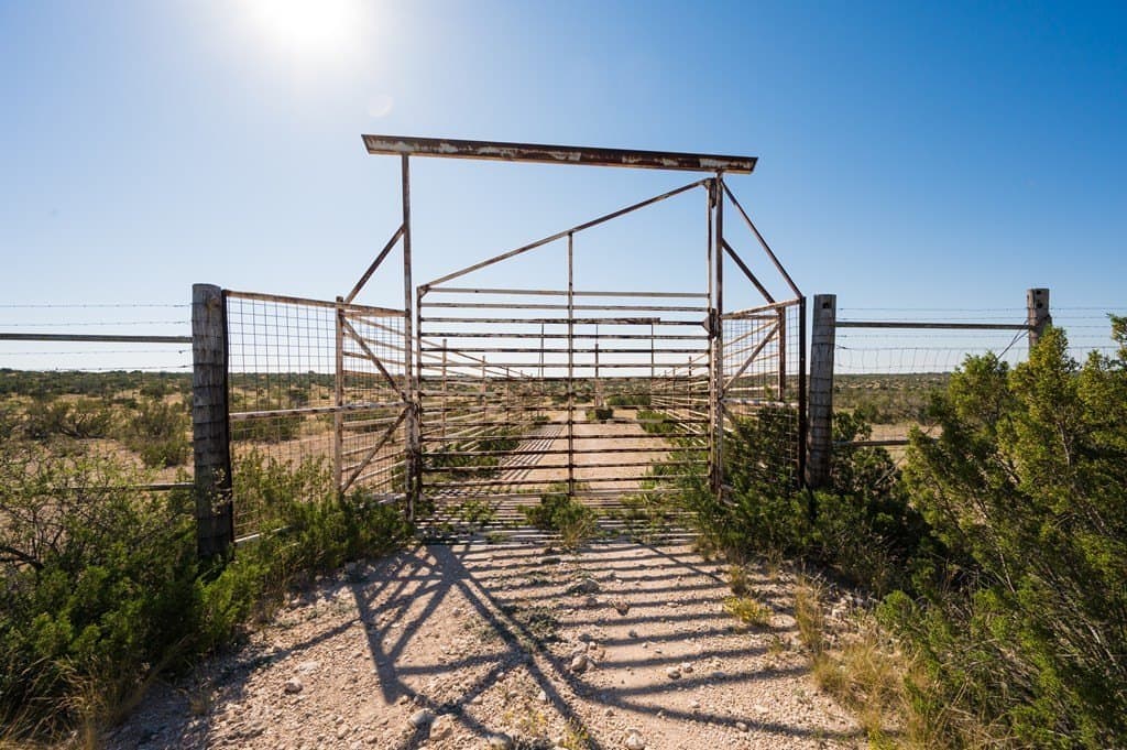 2,699.31 acres in Terrell County - photo 3