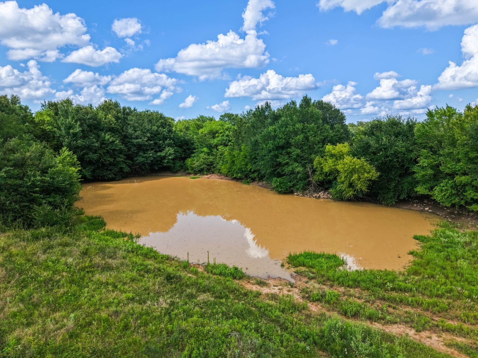 17.8 acres in Limestone County - photo 10