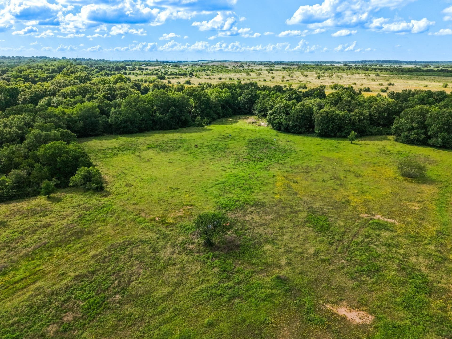 17.8 acres in Limestone County - photo 19