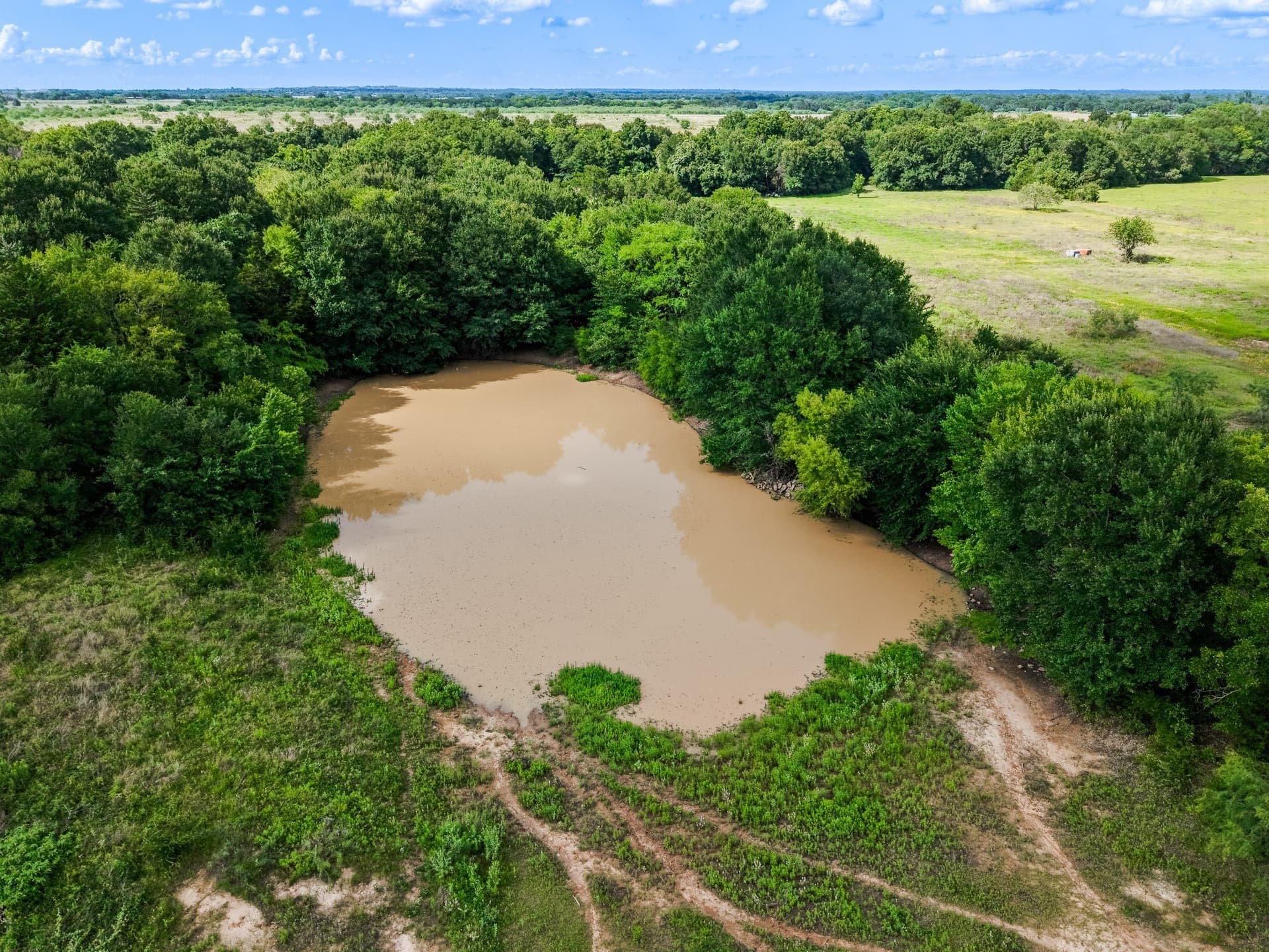 17.8 acres in Limestone County
