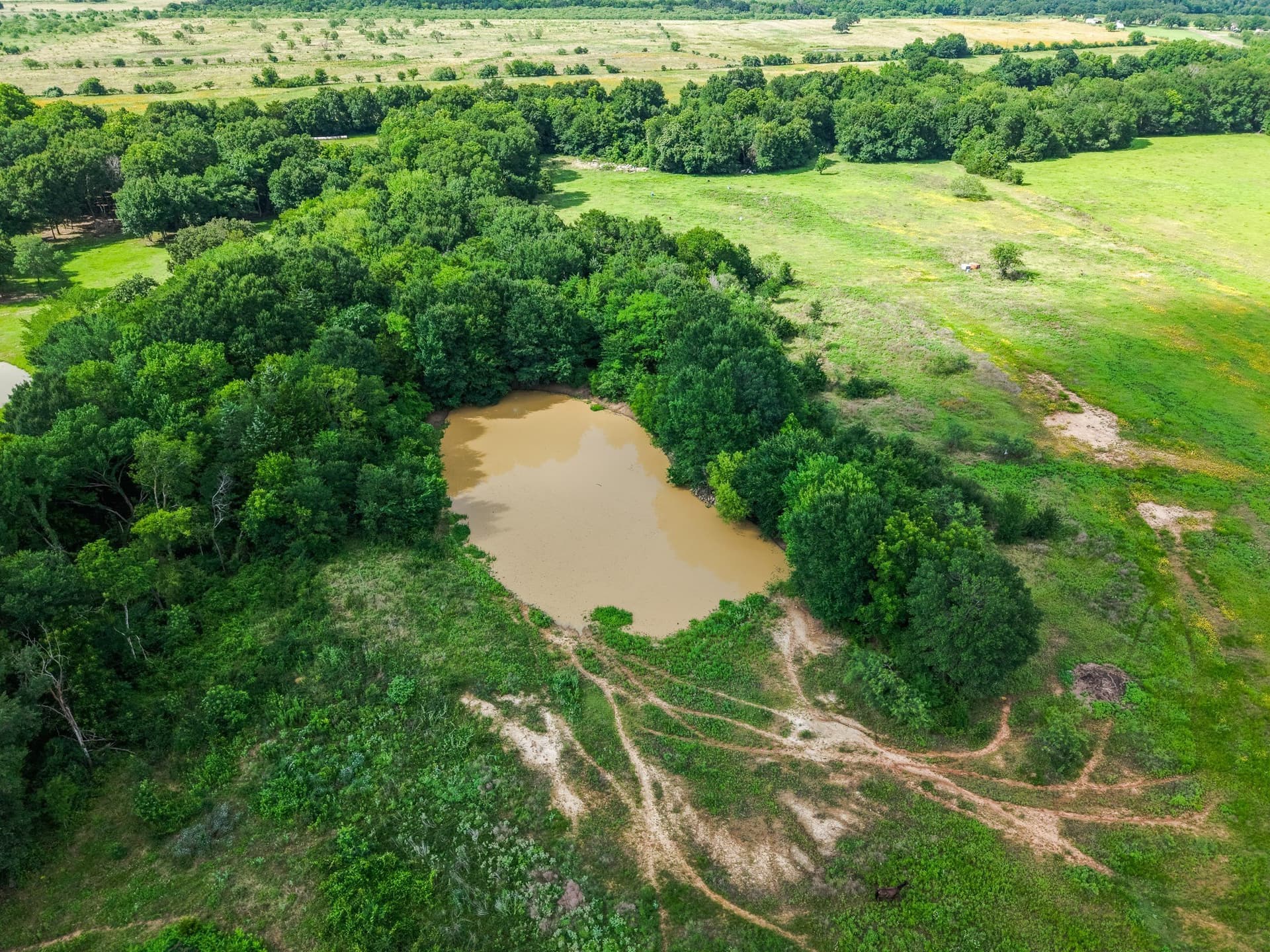 17.8 acres in Limestone County - photo 3