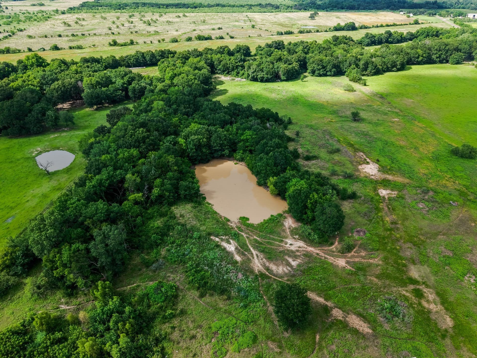 17.8 acres in Limestone County - photo 16