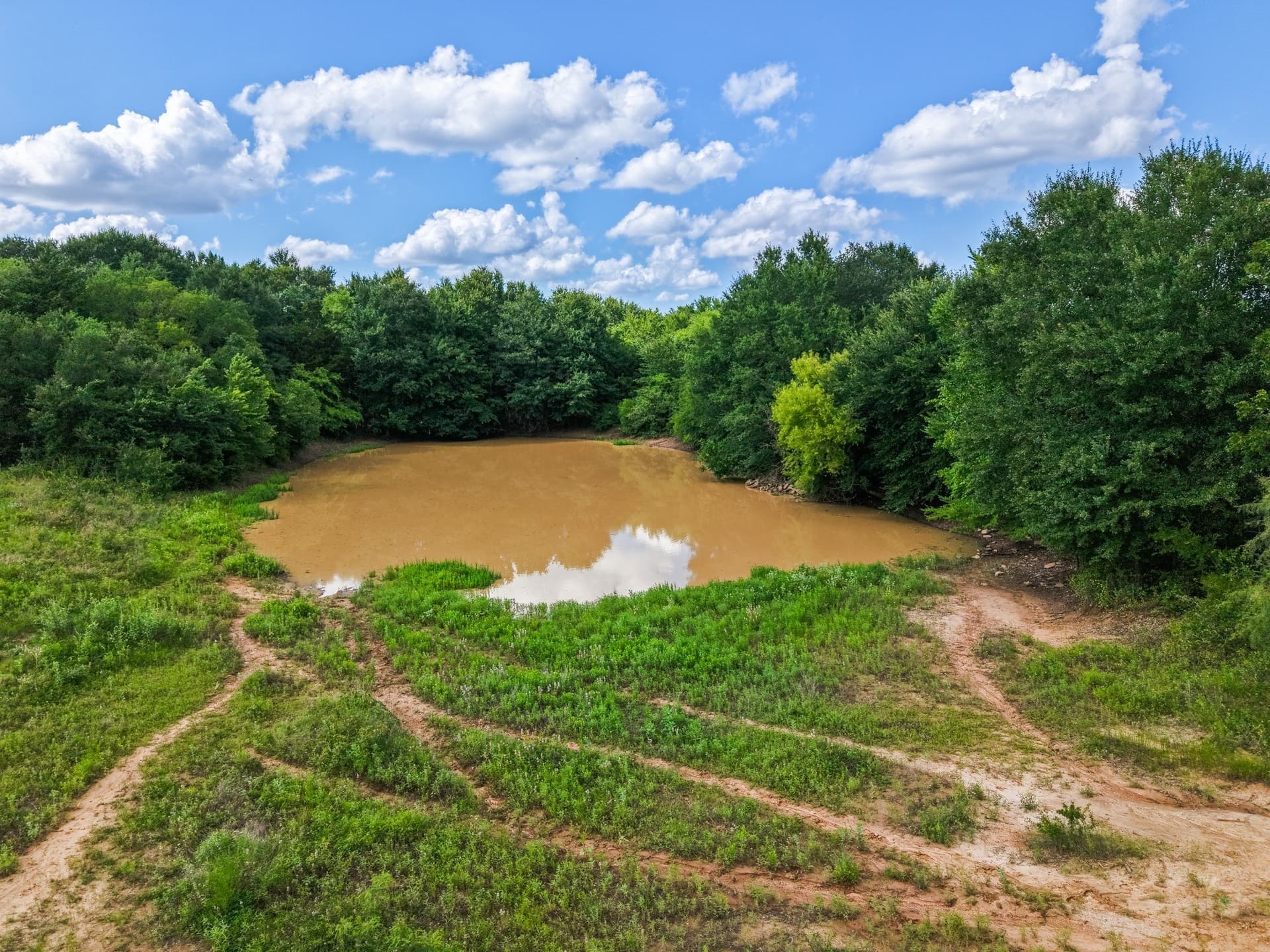 17.8 acres in Limestone County - photo 11